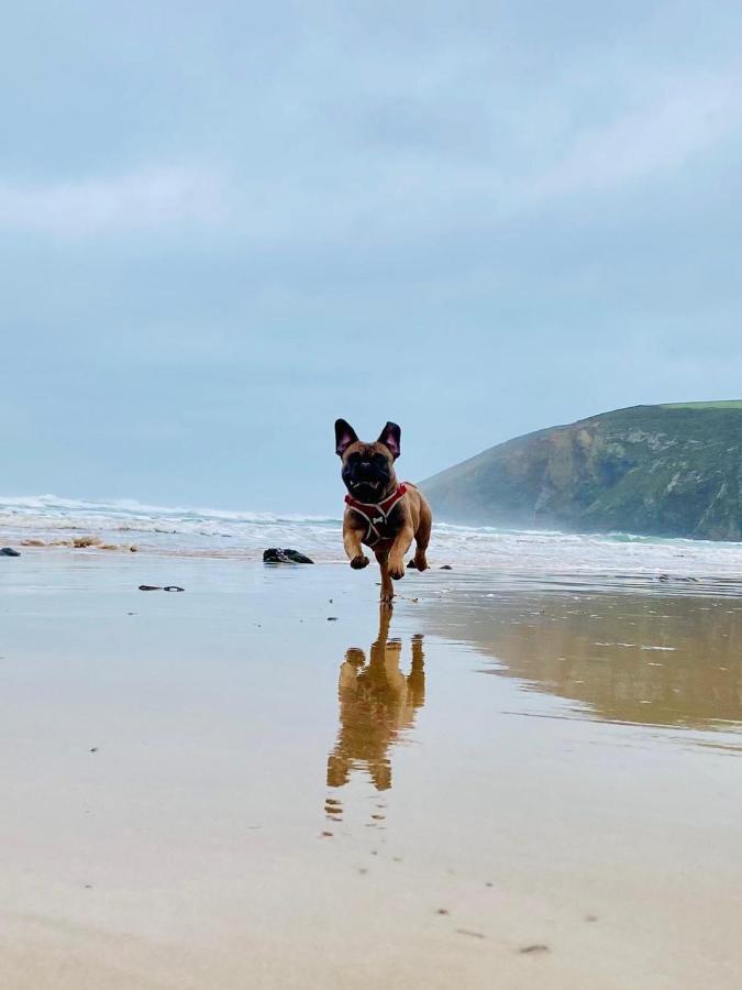 Daphne'S Lodge Mawgan Porth Εξωτερικό φωτογραφία
